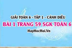 Giải bài 1 trang 59 Toán 6 Tập 1 SGK Cánh Diều